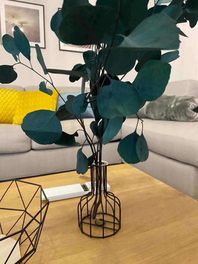 Villa Castanea 오파티아 외부 사진